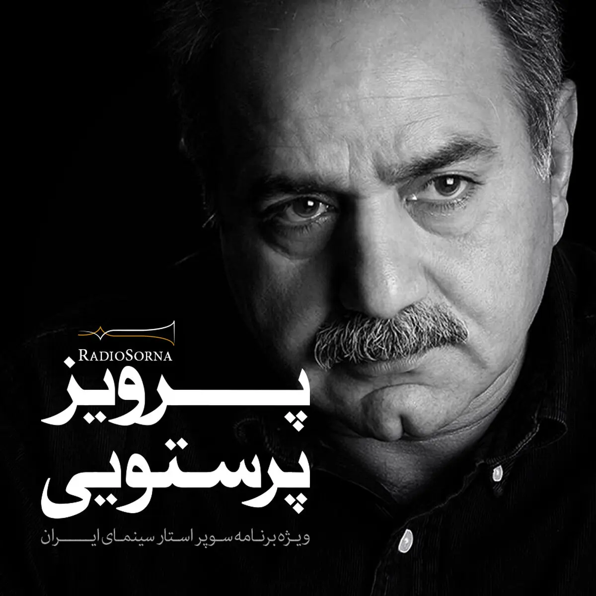 ویژه برنامه صوتی "پرویز پرستویی"