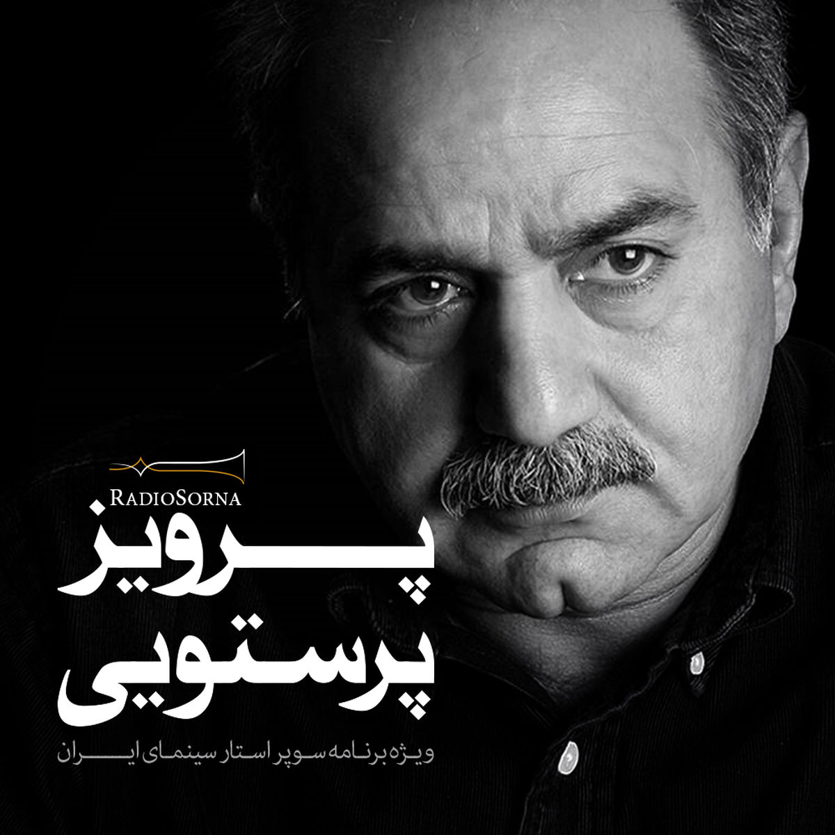 ویژه برنامه صوتی "پرویز پرستویی"