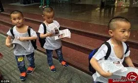 حاج زنبور عسل واقعی در چین به دنبال مادر!