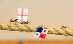 پیش‌بینی نتایج انگلستان با مورچه!