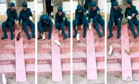 سرگرمی جدید کارمندان