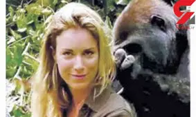 دوستی با گوریل مهربان