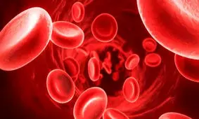 7 غذای گیاهی که خون تان را تصفیه می کنند!