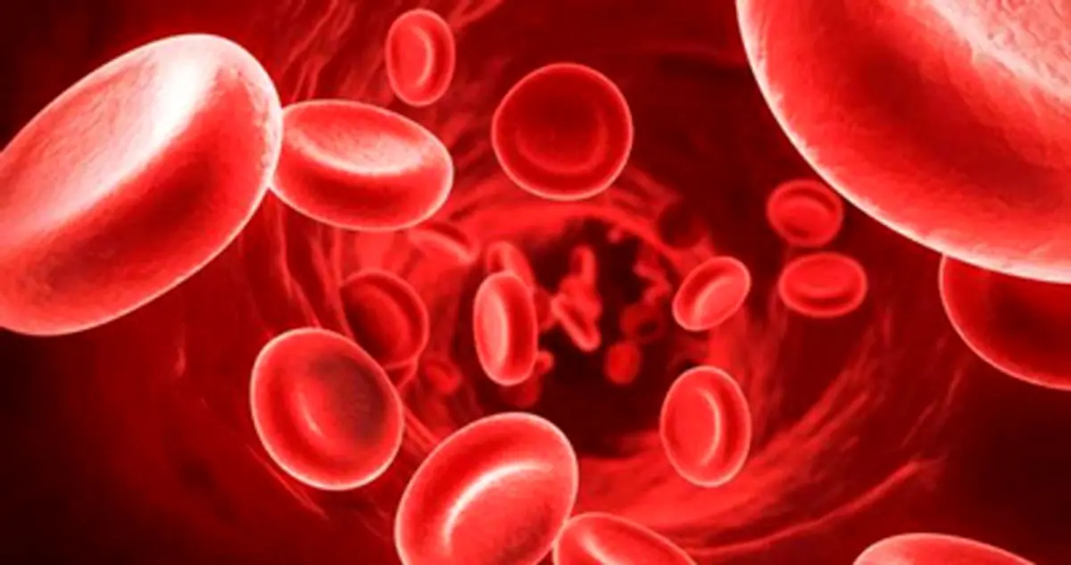 7 غذای گیاهی که خون تان را تصفیه می کنند!