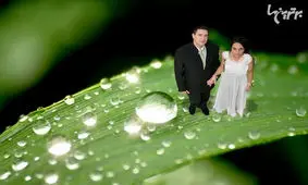 ایده هایی خز و خیل برای عکسهای عروسی شما