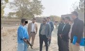 سناریوی « سگ دعوا » به کینه شتری گره خورد