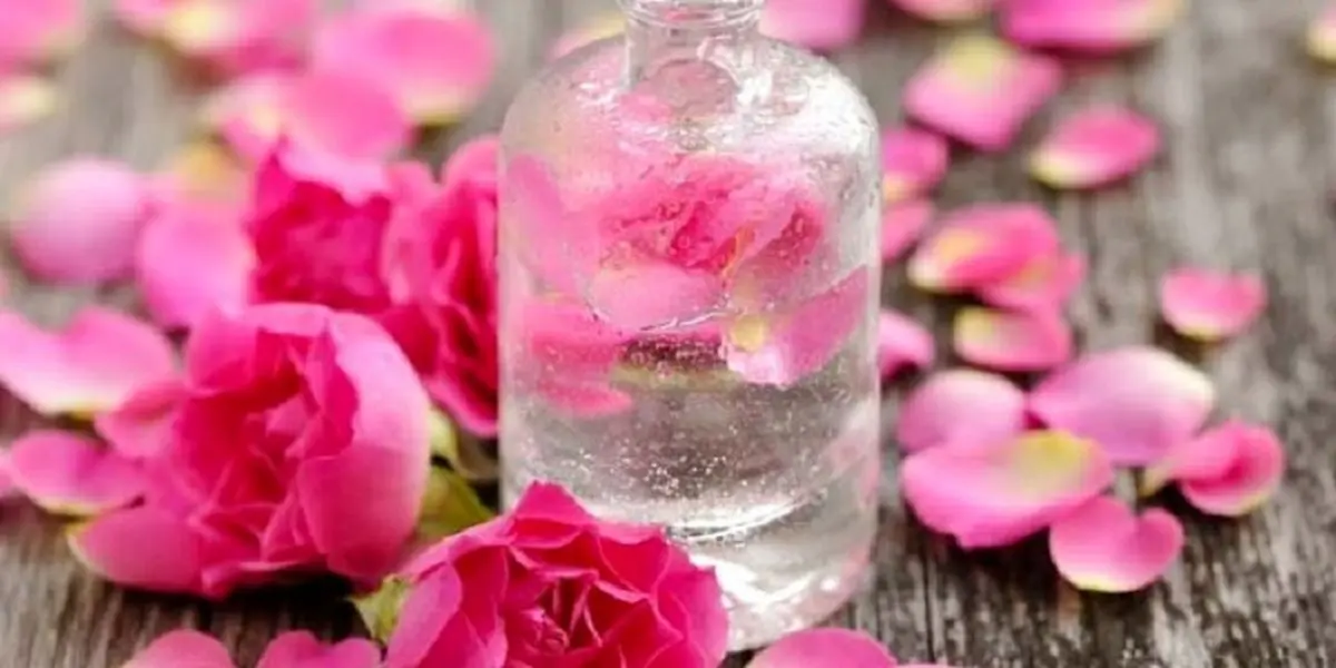 خاصیت شگفت انگیز گلاب برای پوست