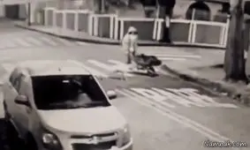 پیدا کردن قاتل یک پلیس توسط یک سگ!