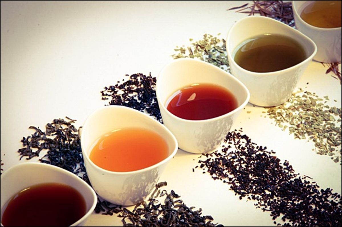 6 راست و دروغ در مورد جوشاندهها