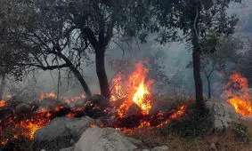 مهار آتش در منطقه جنگلی کجور مازندران