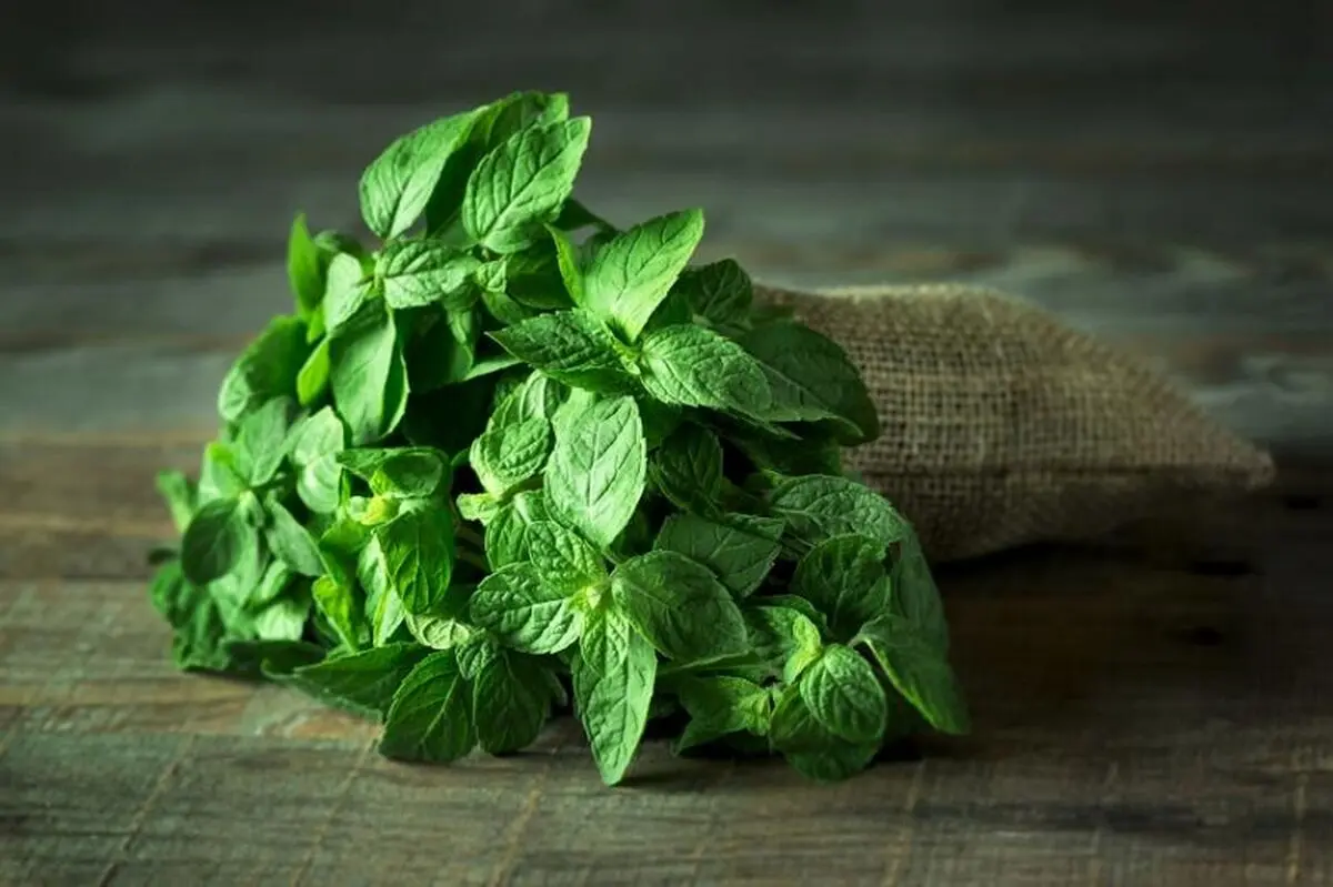 برای مقاوم سازی بدنتان از این نوع سبزی ها غافل نشوید