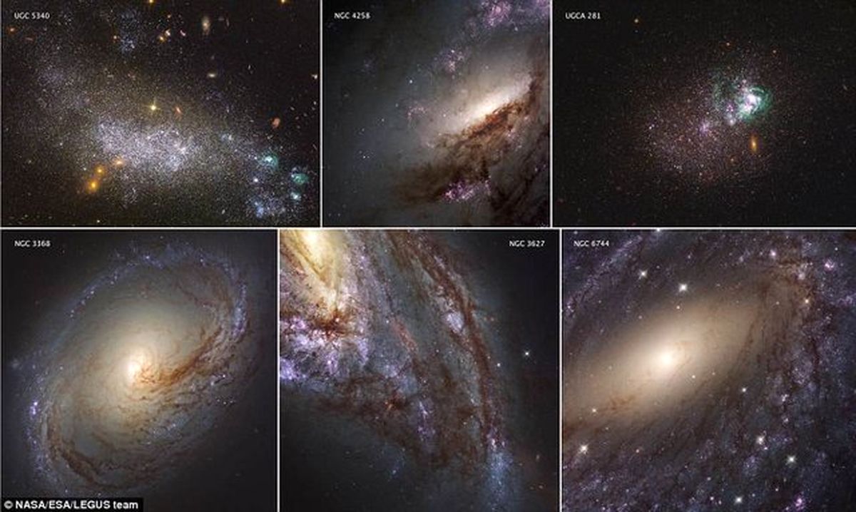 بزرگترین "خانه بازنشستگی" در کهکشان+تصاویر