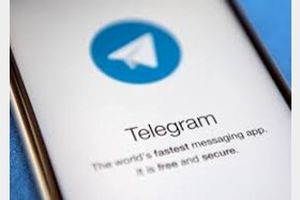 مهلت یک هفته‌ای مدیران نسخه‌های فارسی تلگرام