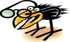 دانستنیهای عجیب دنیا