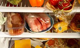 دور کردن کپک از یخچال