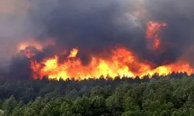 آتش گلستان مهار شد/ ۳۰۰ هکتار از بهترین درختان نابود شد