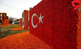 ساخت مجسمه های پرتقالی با 50 تن لیمو و پرتقال