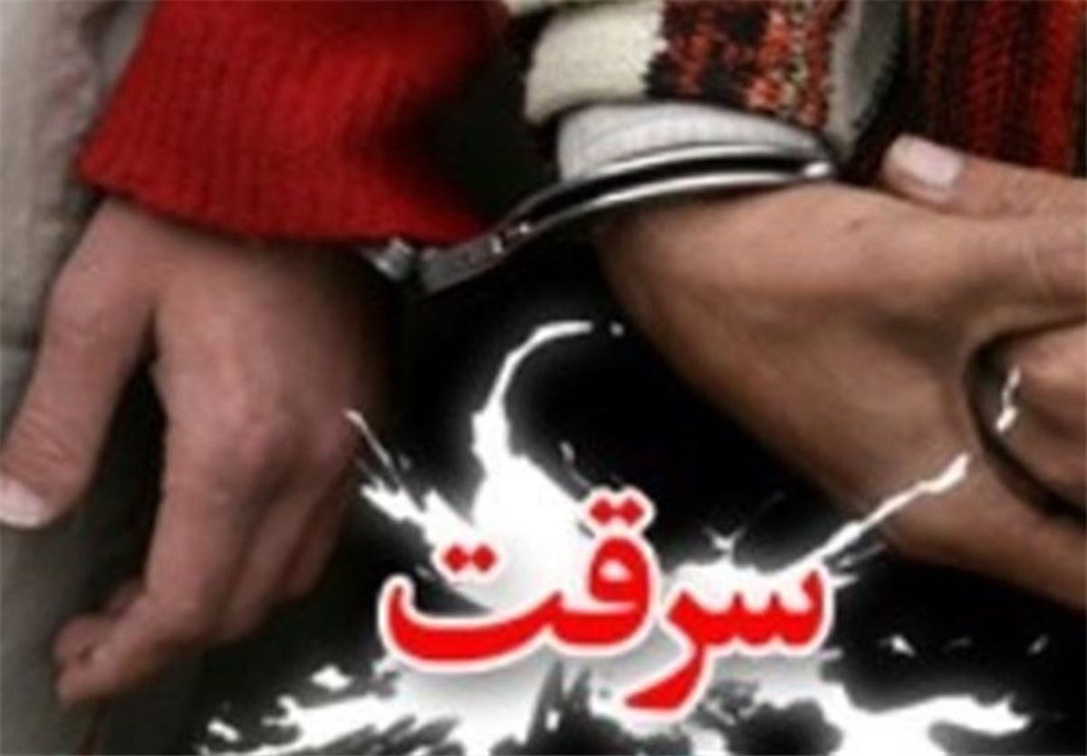 کاهش ۱۰ درصدی سرقت در سطح استان اردبیل