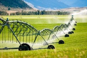 راه صرفه جویی در مصرف آب در بخش کشاورزی و خانگی