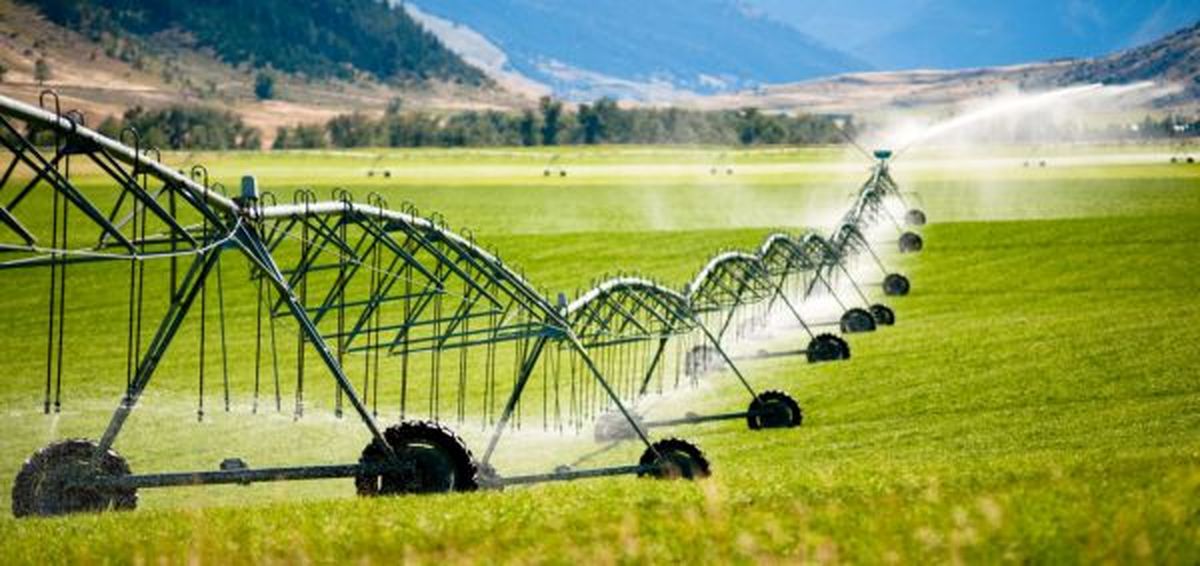 راه صرفه جویی در مصرف آب در بخش کشاورزی و خانگی