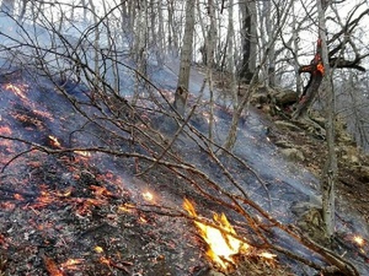 آتش در ۶ هکتار از باغات و مزارع بخش نوبران ساوه