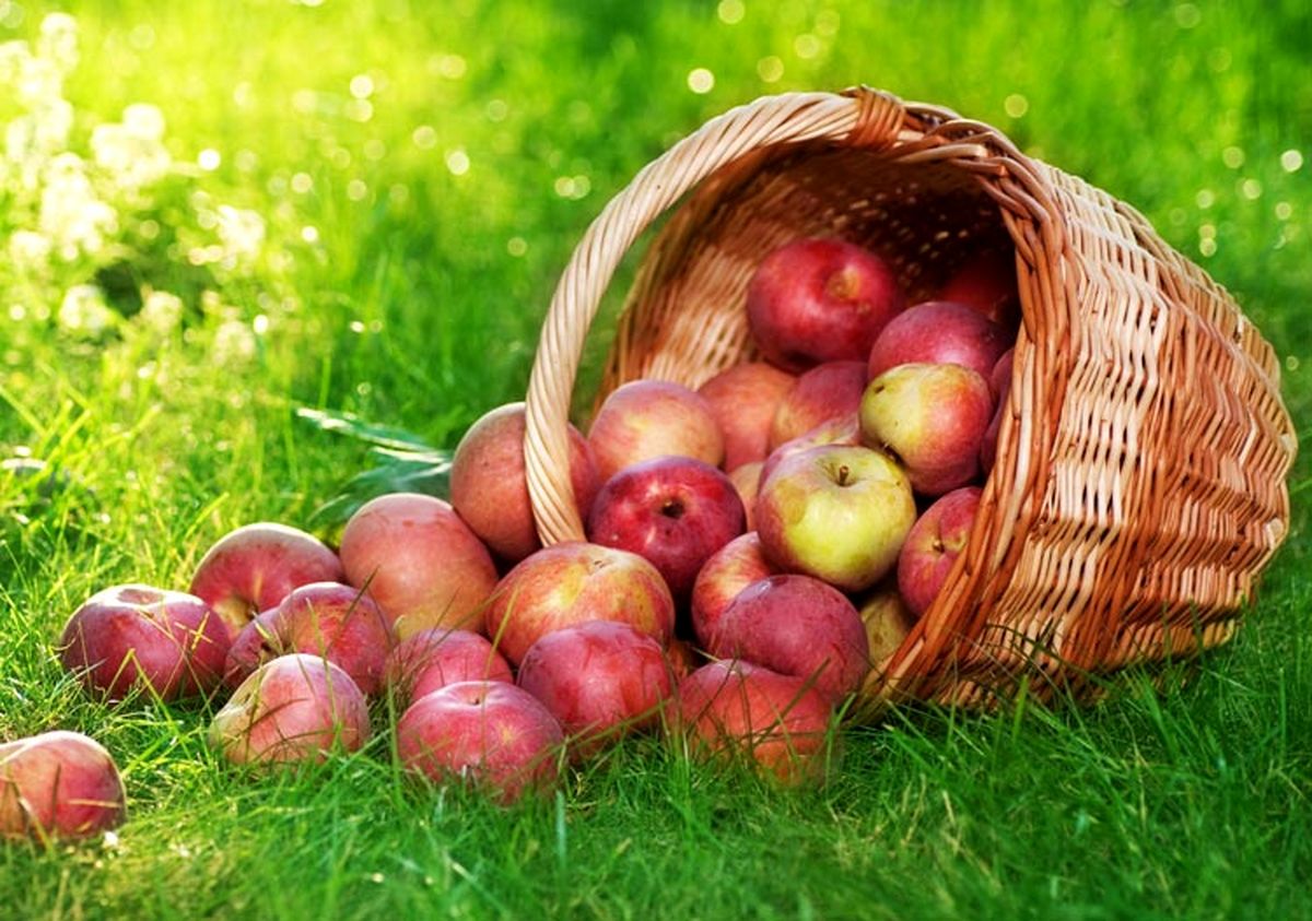 به چه دلایلی باید سیب بخوریم