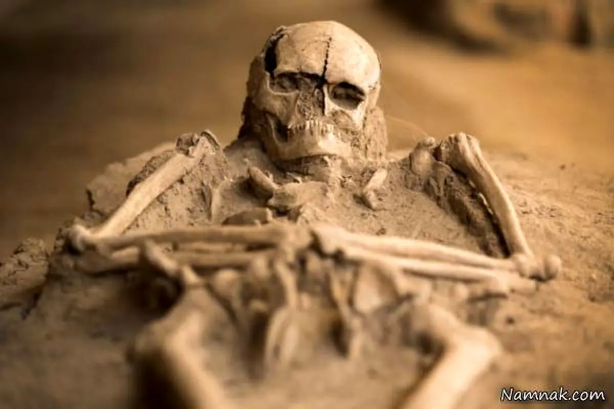 12 کشف عجیب از سوراخ سر زنان در زایمان تا گورستان حیوانات