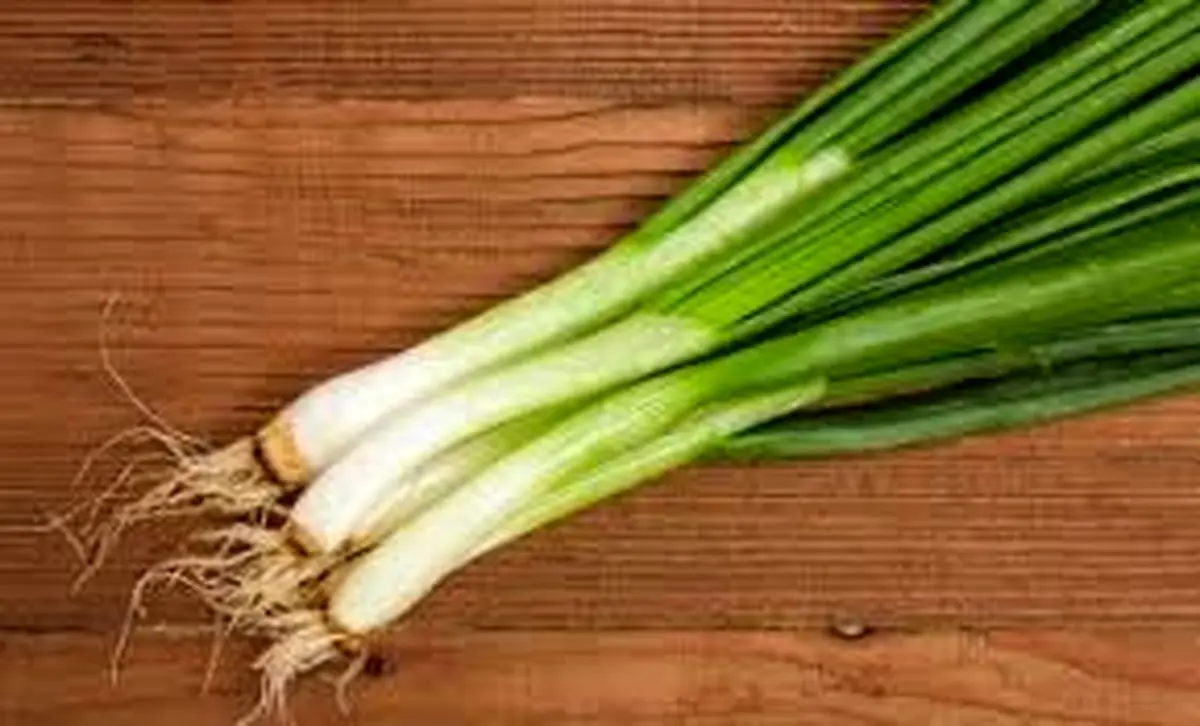 قدرتمندترین دشمن چربی خون چیست؟