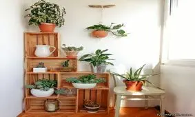 ایده های چیدمان خلاقانه گیاهان آپارتمانی در منزل