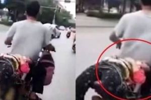 روش عجیب پدری برای فرستادن دخترش به مدرسه