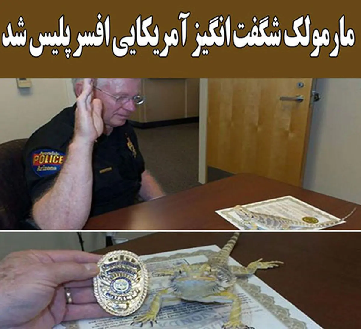 استخدام یک مارمولک در اداره پلیس