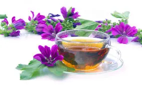 گیاهی فوق العاده با تاثیرات شگفت انگیز بر مو و پوست