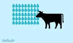 آب پنهان(مجازی) چیست؟