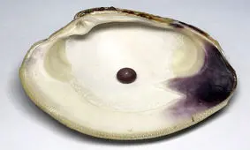 مشتری خوش‌ شانس یک مروارید بنفش کمیاب در غذای خود پیدا کرد