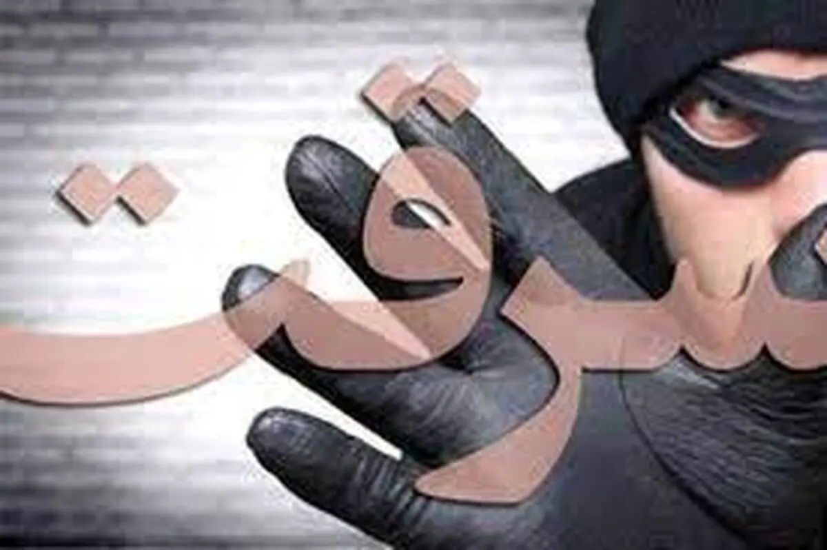 سرقت دسته جمعی از مرکز خرید/ ویدئو