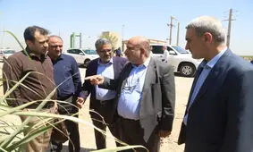 شکوفایی خوزستان با راه‌اندازی صنایع پایین دستی نیشکر

