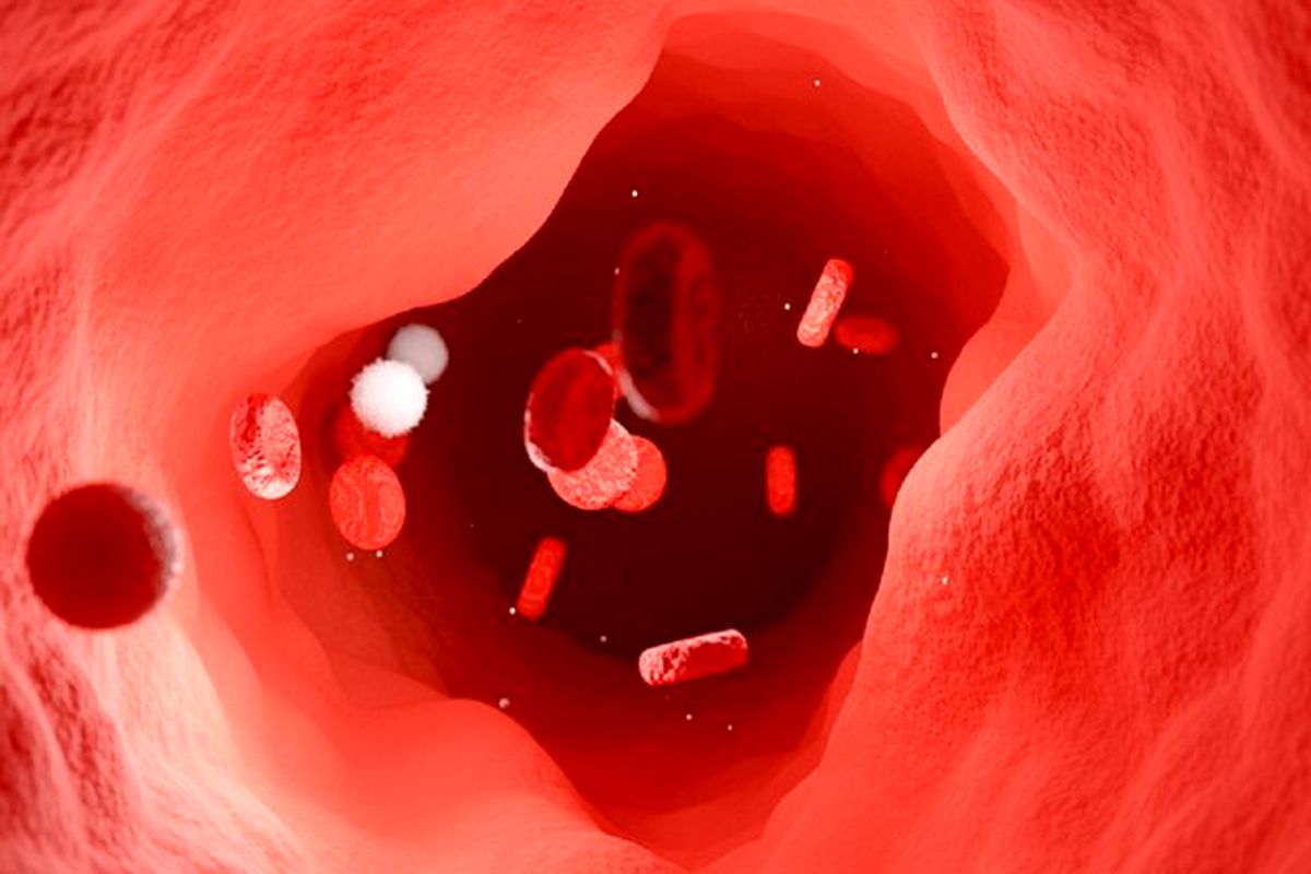 سلول های ایمنی که به جای مقابله با بیماری، به آن کمک میکنند!