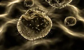 پیشگیری از سرطان مرگ بار با اجتناب از عوامل خطرزا