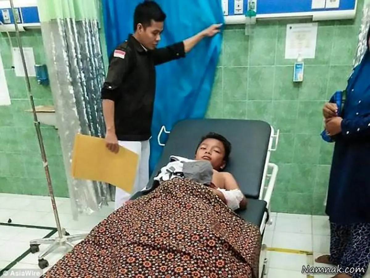 مادری که برای نجات فرزندش با تمساح جنگید