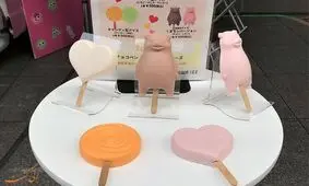 باورنکردنی است! اما این بستنی به هیچ وجه آب نمی شود!