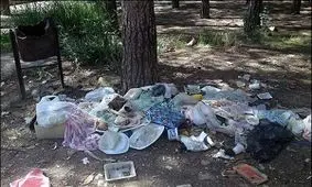 ایران جزء ۱۰ کشور نخست مصرف کننده ظروف یکبار مصرف/ هر تهرانی روزانه 3 کیسه پلاستیکی مصرف می‌کند