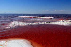 چرا دریاچه ارومیه قرمز رنگ است؟