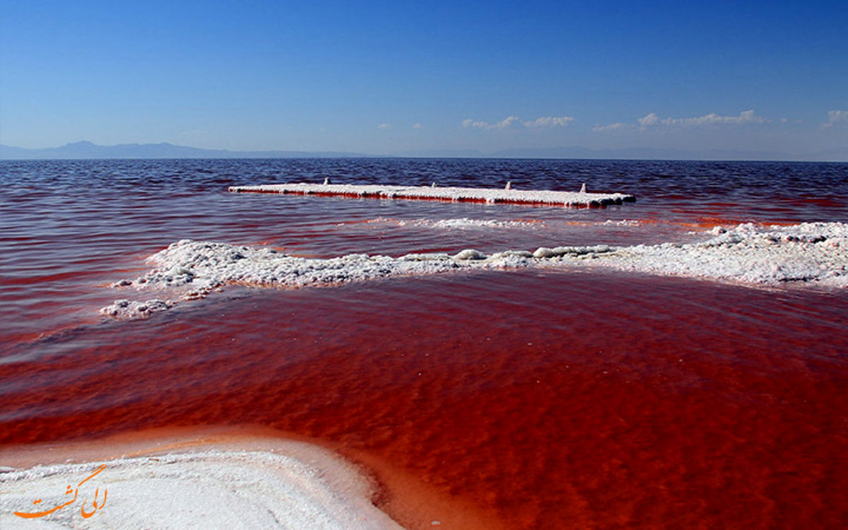 چرا دریاچه ارومیه قرمز رنگ است؟