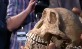 کشف اسکلت انسان های اولیه در چین!