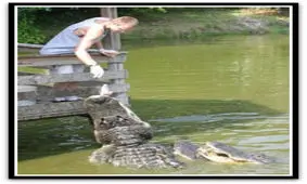 عکس هایی بسیار خنده دار از احمق ترین انسان ها