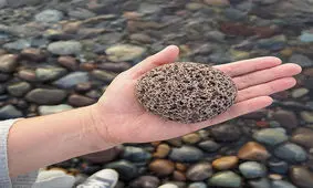 فواید بی نظیر سنگ پا را بشناسید