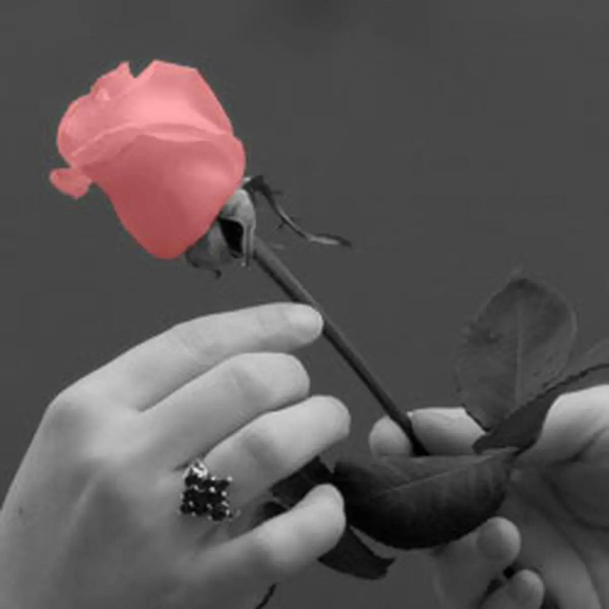 برای دخترخانم‌ها قبل ازبرقراری ارتباط