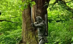 جنگلی که شما را مقابل رابین هود میگذارد