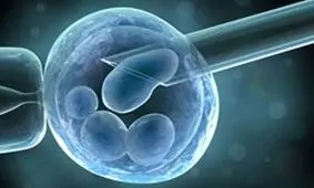 هر آنچه در مورد فریز تخمک باید بدانید