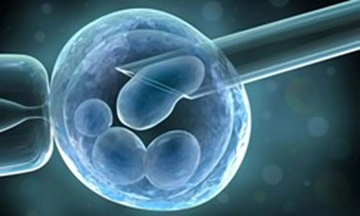 هر آنچه در مورد فریز تخمک باید بدانید
